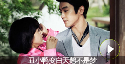 宮囍——丑小鴨終有驚艷時(shí)