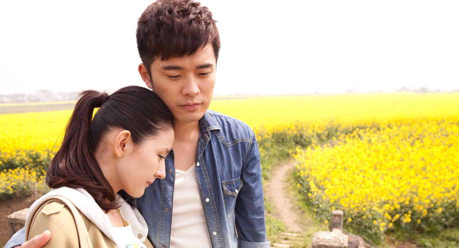 爱情自有天意官网-电视剧-正版高清视频在线观